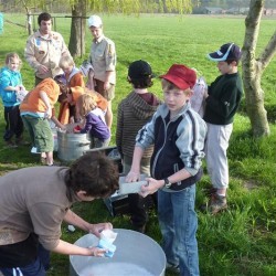 Koala 021 - Scouts en Gidsen Zaventem 